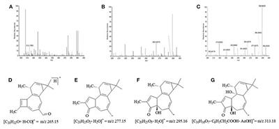 Effects of the Latex of Synadenium grantii Hook F. (Euphorbiaceae) on a Preclinical Model of Canine Prostate Cancer